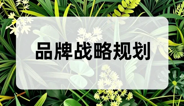 实际环节中的流程优化误区及应对策略